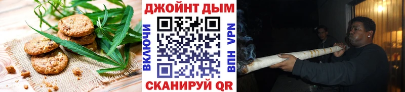 нарко площадка наркотические препараты  наркота  Жиздра  Cannafood конопля 