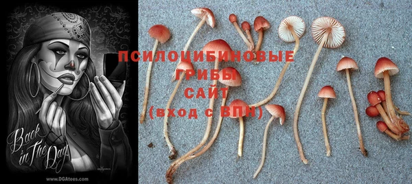 кокаин премиум Беломорск
