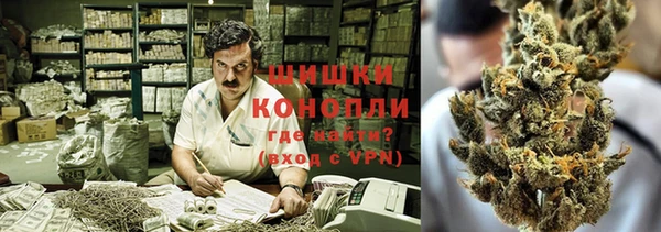 сатива Белокуриха